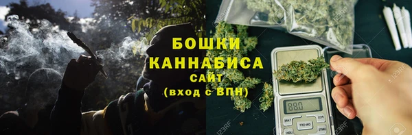 соль ск Медногорск