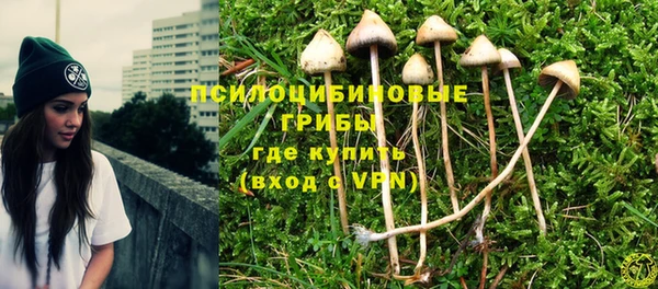 мдпв Мегион