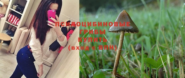 мдпв Мегион