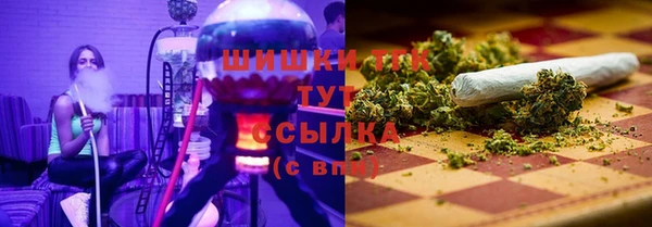 соль ск Медногорск