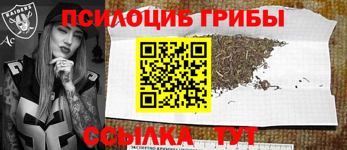 Псилоцибиновые грибы мицелий  Галлюциногенные грибы Cubensis  Лиски  Вход с VPN 