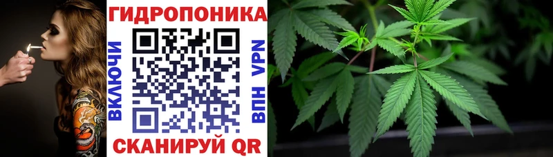 Конопля гибрид  hydra сайт  Лиски  магазин продажи наркотиков 